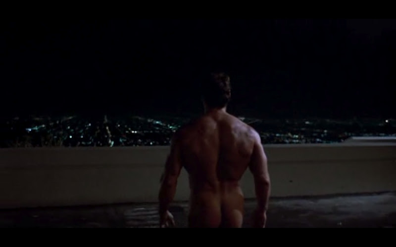 naked arnold from terminator irregular naked arnold from terminator analogy